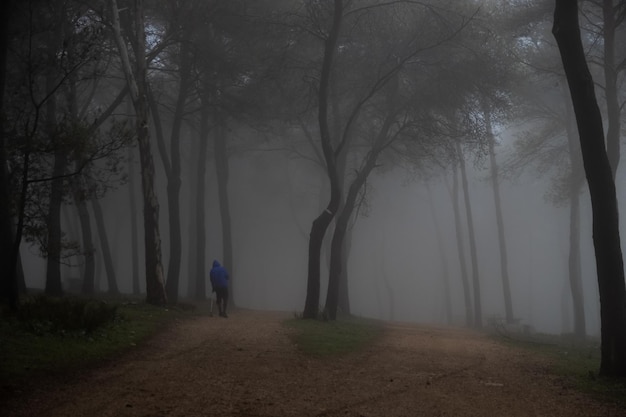 Mann mit blauem Regenmantel und orthopädischem Bein, der durch einen nebligen Wald im Freien geht