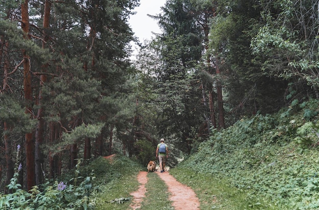 Mann mit einem Hund, der durch einen schönen Kiefernwald geht