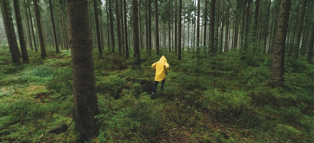 mann mit gelber regenjacke rennt in den dunklen kiefernwald