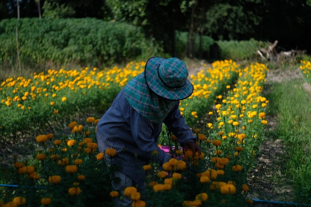 Mann mit Hut arbeitet an einem Blumenbeet