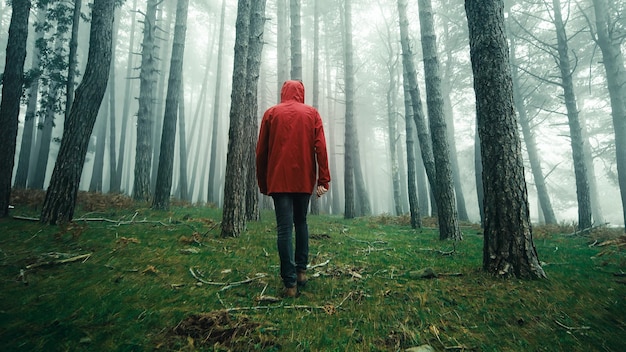 Mann mit roter Jacke geht im nebligen Wald spazieren