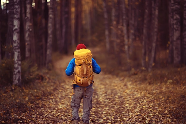 mann mit rucksack ein blick von hinten, wandern im wald, herbstlandschaft, der rücken des touristen mit rucksack