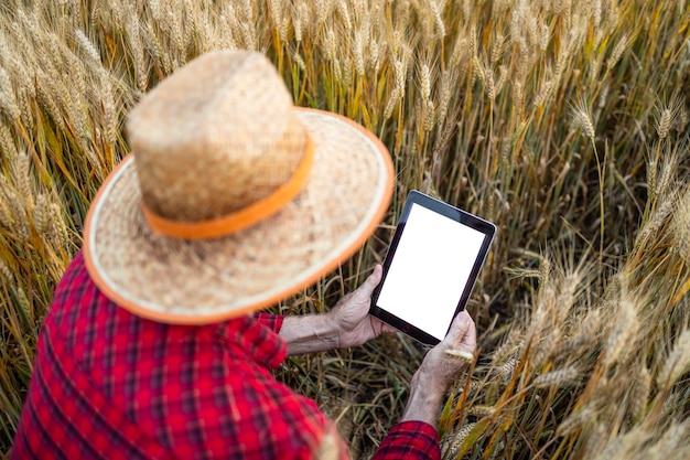 Mann nutzt Smart-Farming-Anwendung auf digitalem Tablet und verwaltet Pflanzenproduktion und -wachstum