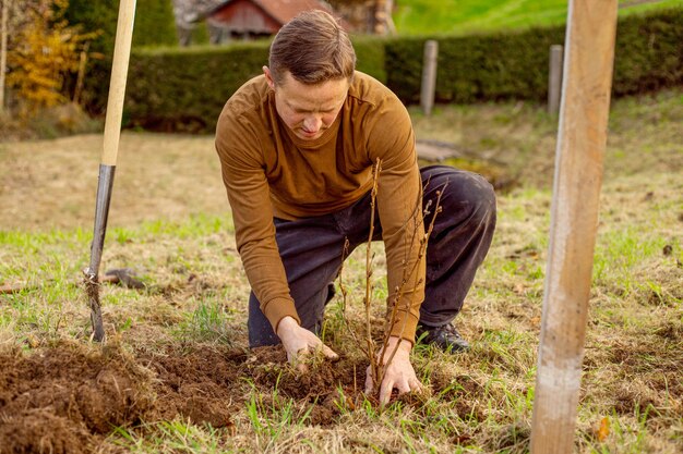 Mann pflanzt Baum im Garten. Natur-, Umwelt- und Ökologiekonzept.