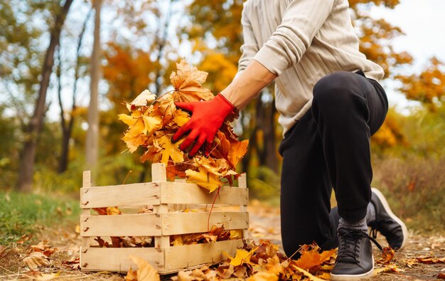 Mann reinigt Herbstpark von gelben Blättern Freiwilliges Reinigungskonzept Saisonale Gartenarbeit