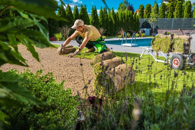 Foto mann restauriert grasrasen im hinterhof