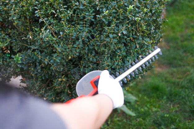 Mann schneidet einen Busch mit elektrischem Trimmer