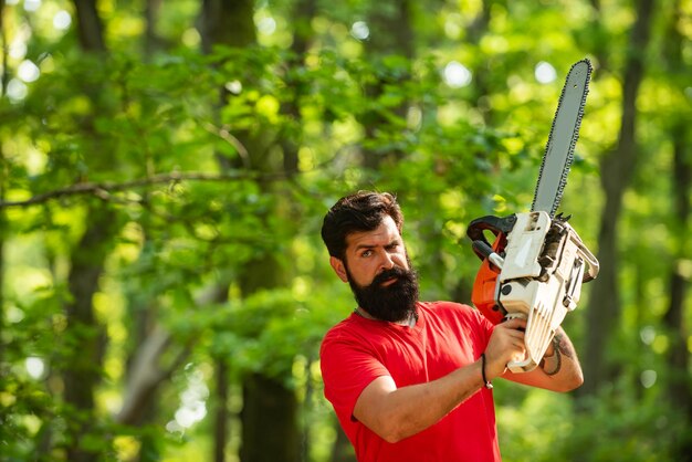 Mann tut mans Job Protokollierung Holzfäller Konzept Holzarbeiter Holzfäller Illegaler Holzeinschlag geht heute weiter Holzfäller hält die Kettensäge Holzfäller mit Kettensäge auf Sägewerk