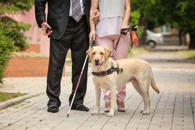 Mann und blinde Frau mit Blindenhund in der Stadt