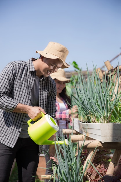 Mann und Frau arbeiten in der Farm