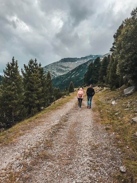 Mann und Frau, die auf dem Weg entlang der Tannen vor dem Hintergrund von Bergen und Cl spazieren