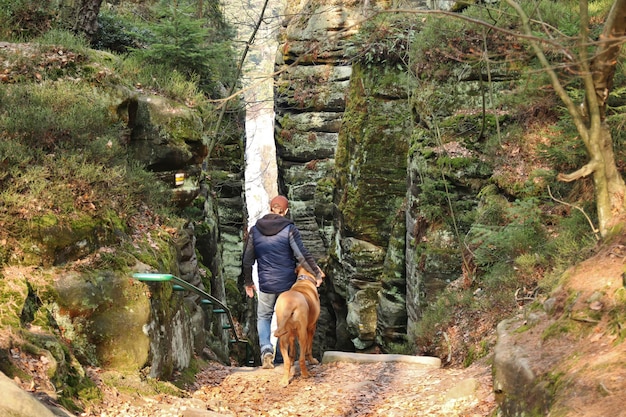 Mann und Hund im Park