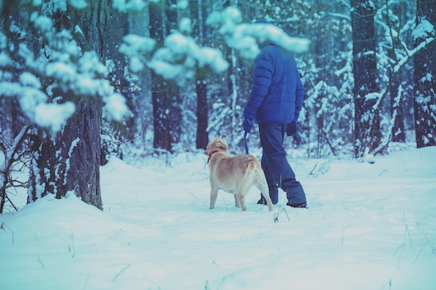 Mann und Hund sind beste Freunde Ein Mann und ein Hund an der Leine gehen während eines Schneesturms durch einen verschneiten Wald