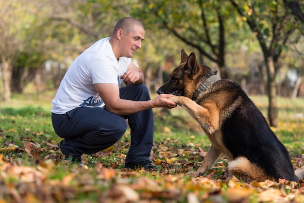 Mann und sein Hund Deutscher Schäferhund