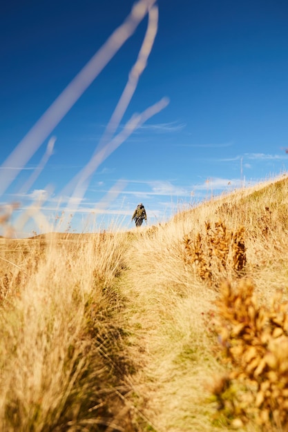 Mann zu Fuß durch den Bergweg in den Karpaten der Ukraine Spazier- und Wanderwege in Borzhava ridge Ländliches Gebiet der Karpaten im Herbst