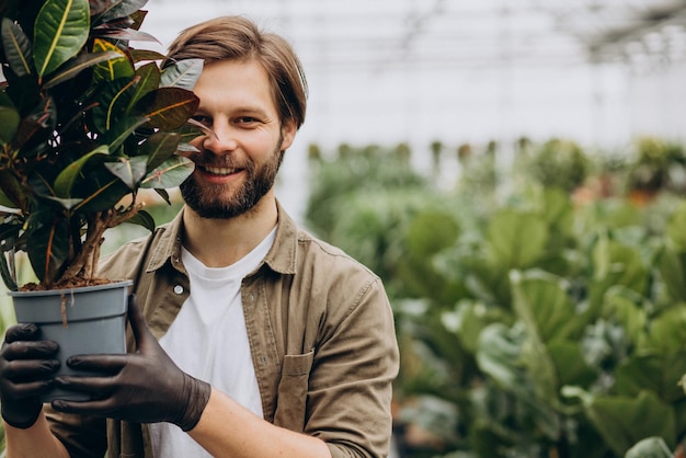 Mannflorist, der im Gewächshaus arbeitet