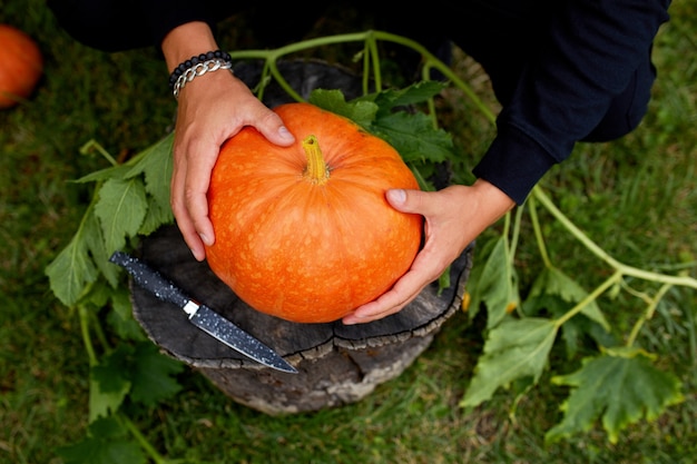 Mannhände halten Kürbis vor dem Schnitzen für Halloween, bereitet Jack o'Lantern vor. Dekoration für Party, Ansicht von oben, Nahaufnahme, Ansicht von oben, Platz kopieren