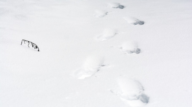 Mannspuren auf weißem Tiefschnee