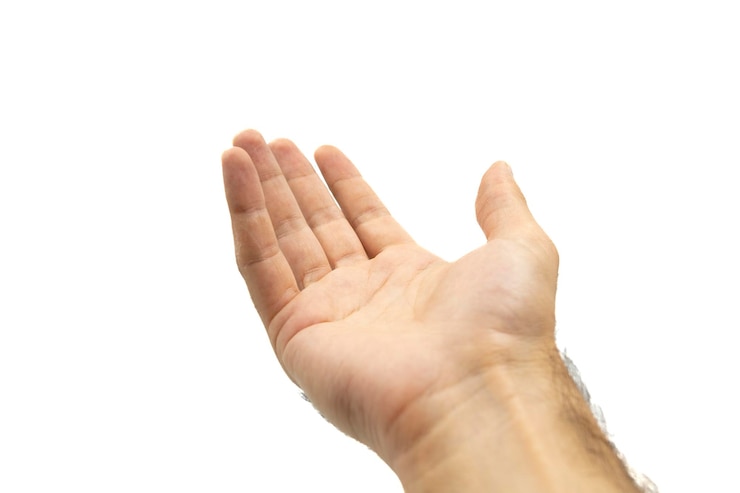 Foto la mano de un adulto alcanzando el aire sobre un fondo blanco