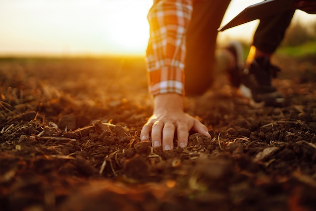 La mano de un agricultor experto recolecta suelo y verifica la salud del suelo antes de cultivar una semilla de verdura