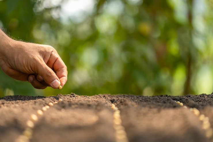 Mano del agricultor plantar semillas marrones en el suelo. Concepto de crecimiento y medio ambiente.
