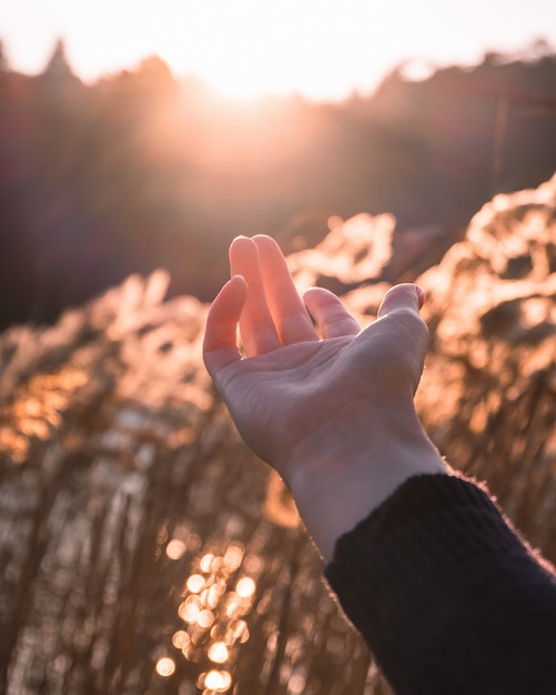 Foto mano alcanzando el sol