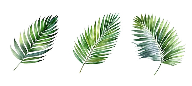 Mano areca hoja de palma acuarela ai generado selva verde bosquejo diseño verano naturaleza mano areca hoja de palma acuarela ilustración