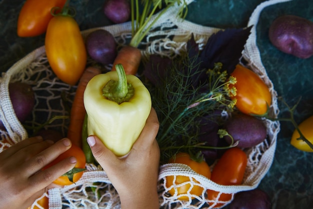 Mano de bebé tomando pimiento dulce de una bolsa ecológica Cultivo de verano verduras tomates coloridos patatas moradas zanahorias albahaca eneldo bajo sombras duras de moda Preocupación ecológica