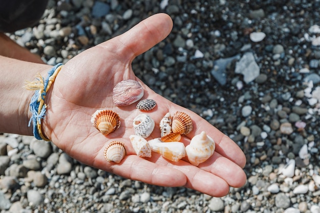 Mano con conchas marinas encontradas en la orilla del mar