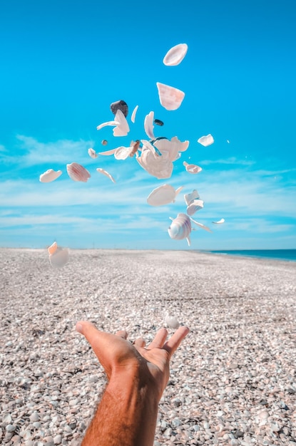 Mano cortada lanzando conchas marinas en la playa contra el cielo
