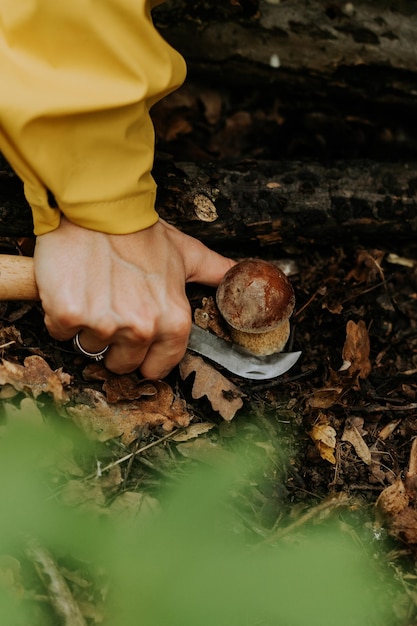 Mano cortada de una mujer cortando setas en el bosque