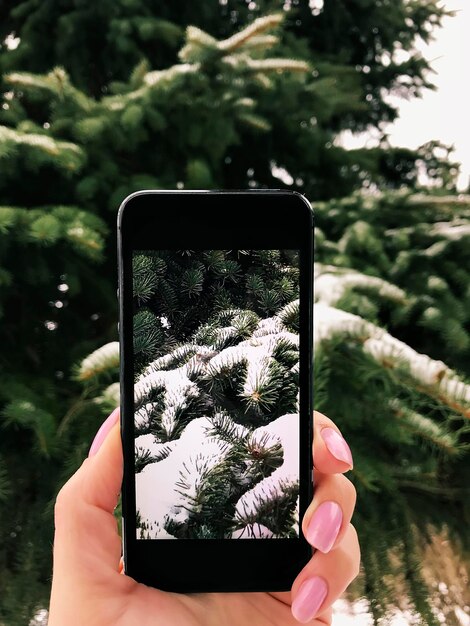 Mano cortada de una mujer fotografiando un árbol cubierto de nieve