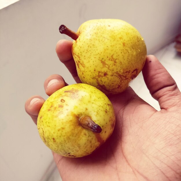 Mano cortada de una mujer sosteniendo frutas