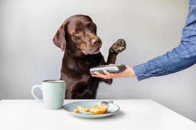 Foto mano cortada de una mujer sosteniendo a un perro