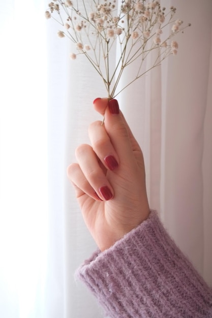 Foto mano cortada de una mujer sosteniendo una planta