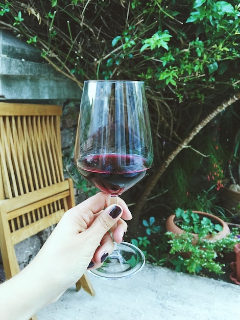 Mano cortada de mujer sosteniendo vino rojo en vaso de vino contra plantas