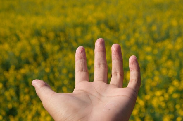 Mano cortada de una persona contra un campo agrícola