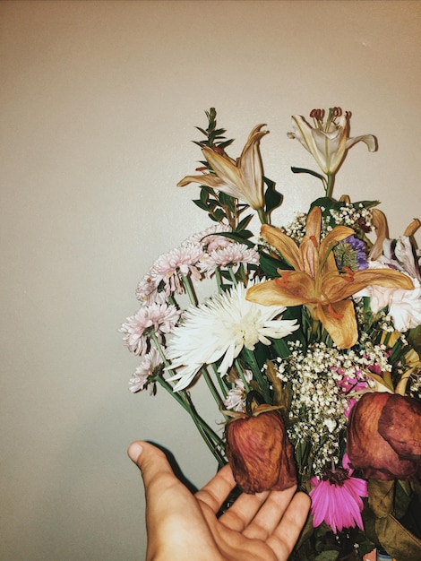 Mano cortada de una persona sosteniendo flores secas contra la pared