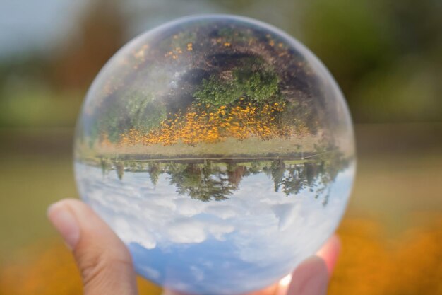 Mano cortada sosteniendo una bola de cristal con el reflejo del cielo y los árboles