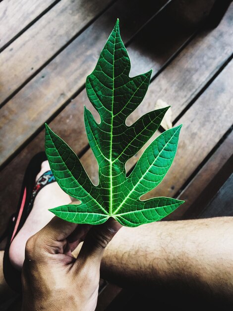 Mano cortada sosteniendo una hoja sobre una mesa de madera