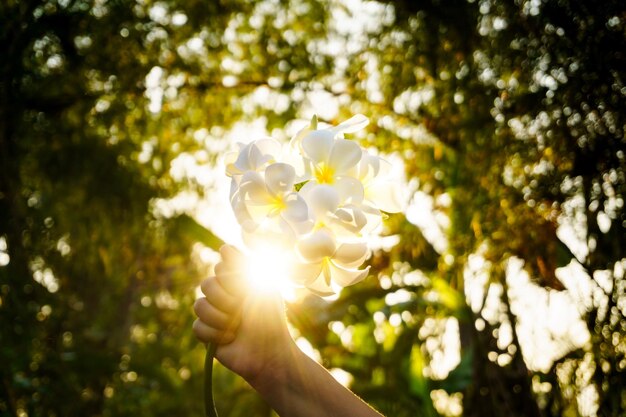 Foto mano cortada sosteniendo un ramo de flores contra los árboles