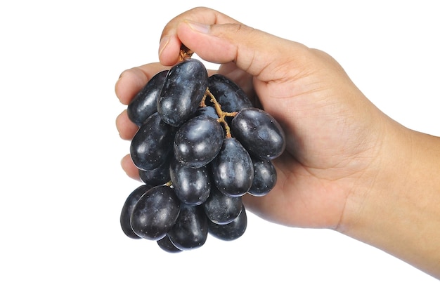 Mano cortada sosteniendo uvas contra un fondo blanco