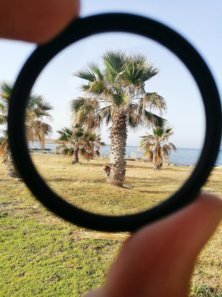 Foto mano cortada sosteniendo vidrio contra los árboles