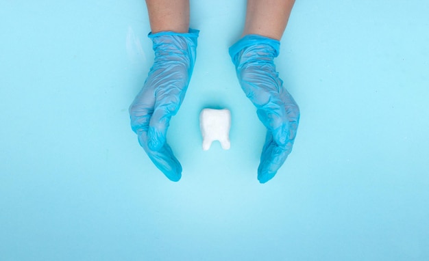 La mano del dentista femenino con guantes médicos azules sostiene un diente modelo blanco Fondo claro Concepto de higiene bucal en la familia