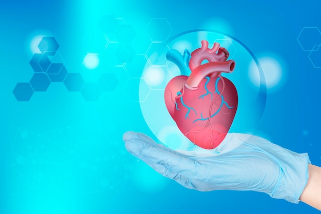 La mano del doctor en un guante sostiene la forma anatómica de un corazón humano sano que simboliza el diagnóstico, el tratamiento, la atención y la protección. Afiche médico. Foto de alta calidad.
