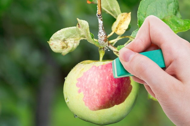 Mano elimina manzana verde por goma de borrar