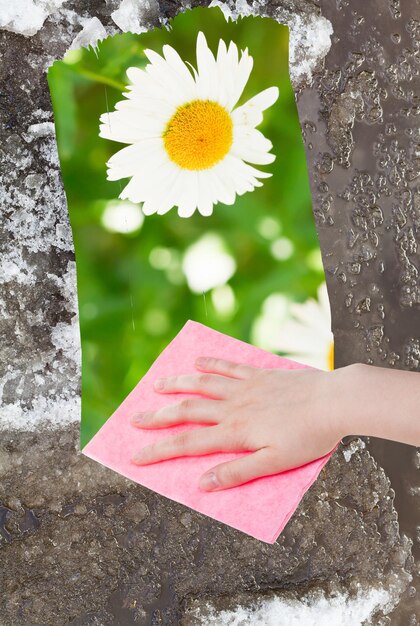 Foto la mano elimina la nieve que se derrite con un paño rosa