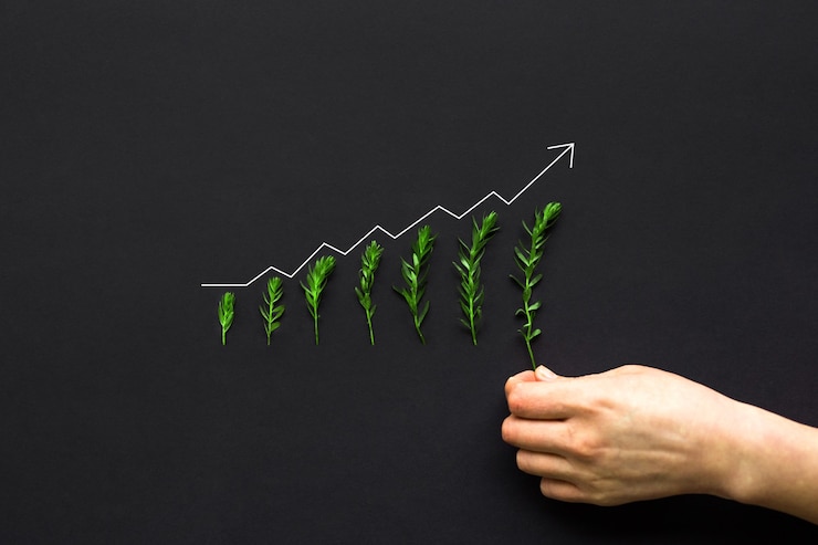 Foto mano de la empresaria poniendo plantas en crecimiento con gráfico de aumento