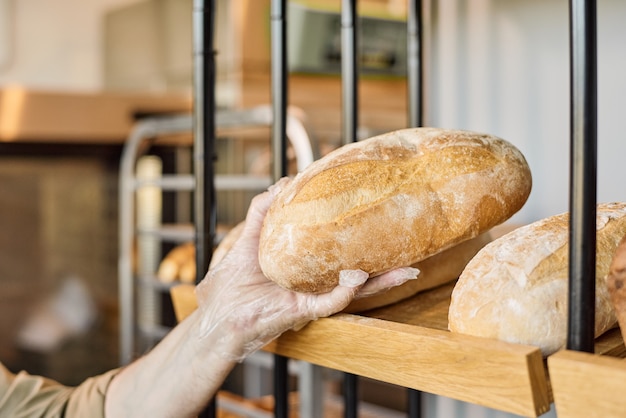 Mano enguantada del panadero masculino tomando una de las hogazas de pan fresco