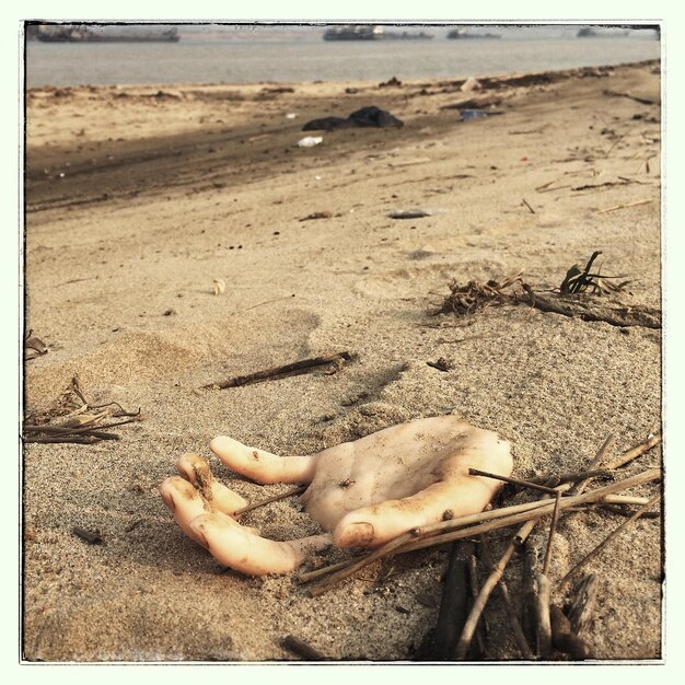 Foto la mano enterrada en la arena en la playa